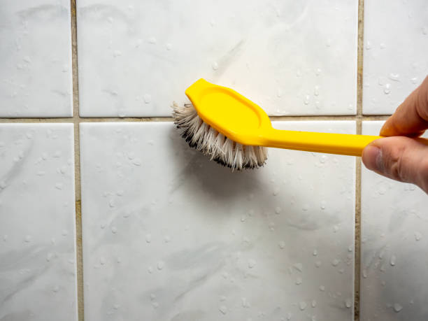 Best Mold Damage Repair  in Methuen Town, MA